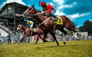 Horse racing games
